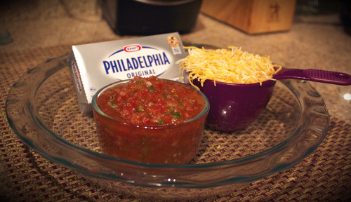 salsa cheese dip