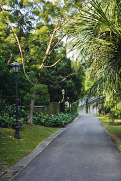 i-long-to-travel-the-world:  danlophotography: Singapore Botanical Gardens | Singapore - If you love this beautiful picture, like it. We post stuff just like this every day on Facebook. Like us by clicking here: http://on.fb.me/1bgLOYJ - You won’t regret