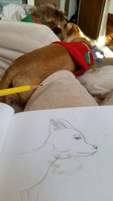 I was trying to sketch my dog free handedly,  but he stepped on the page and got dirt all over it. -__-
