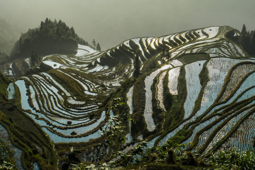 beliefs:Jiabang Rice Terraces