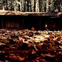 assbutt-trumpet:  Favourite Movies ~ The Cabin in the Woods  &ldquo;They’re like something from a nightmare.&rdquo; &ldquo;No. They’re something nightmares are from&rdquo;  