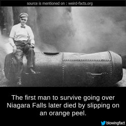 mindblowingfactz:    The first man to survive going over Niagara Falls later died by slipping on an orange peel. source  Follow us on Instagram image via mindblowing-facts