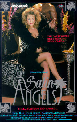 80s90sxxxboxcovers:  Satin Angels - Western Visuals 1987 Sexually Altered States - VCA 1985 Voyeur - VCA 1985  