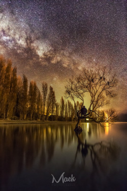 tigertravelguide:  &lsquo;Roosting in Wanaka&rsquo; by Mikey Mackinven