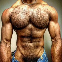 skippypodar:  Damn I’m hairy! Furry muscle is a good thing. 😆👍💪 See the uncensored version at https://www.connectpal.com/rachiflex