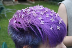 rymdprins:  my friends put flowers in my hair