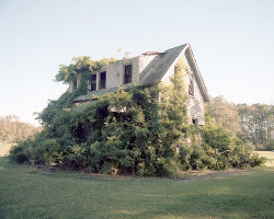 abandonedandurbex:This house belongs to the trees now [500x400]