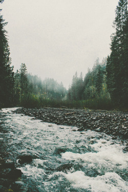 vhord:  whvtes:  nature //   strictly nature