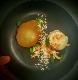 dessertp0rn:  [OC] reduced milk panna cotta, burnt miso butterscotch, poached apple, white chocolate and toasted coconut (720x600) | More?