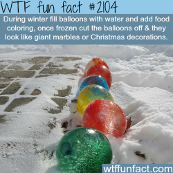 wtf-fun-factss:  Frozen Water Balloons - WTF fun facts  note: this only works until the weather gets above freezing. so this is great north of the artic circle