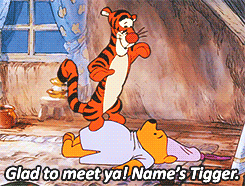 mizubelle:  What is a Tigger? 