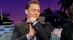 cheers-mrhiddleston:  Tom Hiddleston makes a new friend on the Late Late Show with James Corden 