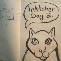 Keeping on inktober with a quick kitty doodle.  #cats #inktober #meow