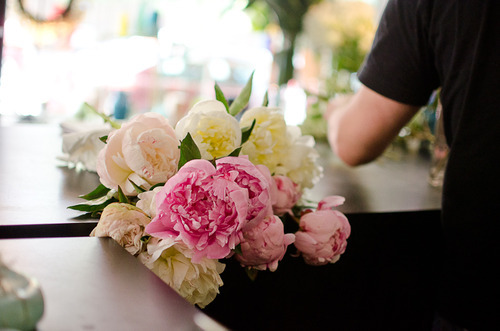 pink and white peonies