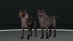  Call of Duty: Ghosts Wolf and Hellhound  Source Filmmaker Models Wolf and Hellhound models from Call of Duty: Ghosts.  Originally ripped by Asagrid at https://p3dm.ru.  Wolf model has two skins.  Quite possibly the world&rsquo;s shittest SFM rigs