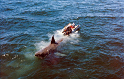  Behind the scenes of Jaws (x) 