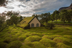 archatlas:  Fairlytale Scandinavian Green Roofs Scandinavians are serious about their green roofs. They’ve had them for a while now and it doesn’t look like they’re going anywhere. They even have a competition every year to determine the best green