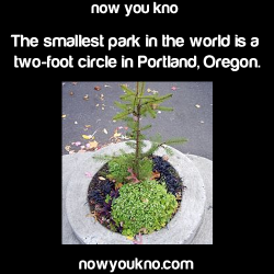 lavaporeon:  wangs-of-freedom:  nowyoukno:  More Facts.  Of course it is.  ALL BITCHES THIS IS MY HOME TOWN TAKE A FUCKING SEAT WHILE I TELL YOU THIS STORY. GET A BOWL OF POPCORN BECAUSE THIS SHIT IS DOPEIN THE 1940’S PORTLAND WAS PUTTING IN LAMPPOSTS