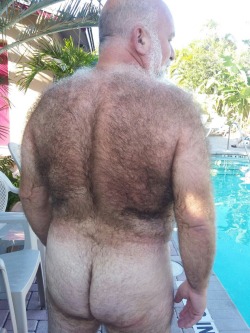 bearslikeus:  His neighbor had an amazing pool. He knew because he would always spy on him. Sometimes he’d throw parties where lots of people would attend. Some hung out just dangling their feet in the pool, but many just waded and floated around in