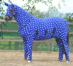 cimness:  end0skeletal:  Here are some horses (and a pony) wearing pajamas to brighten your day.  ME, very seriously: WE HAVE TO GET A HORSE AND SOME PAJAMAS. 