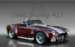 housewifesecrets:  promiscuousmind:  daisiesanddreams78:  specialcar:  1966 Shelby Cobra   As I drool….  Let’s go…  Car boner!