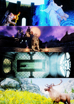 bethesdas:  Skyrim was a vast region set in the northern part of Tamriel. It is the home of the Nords, large and hardy men and women who have a strong resistance to frost, both natural and magical. Skyrim was originally inhabited by a race of Mer called