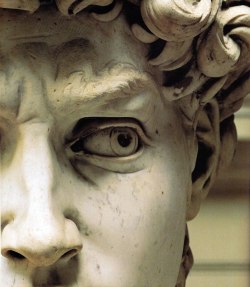 captainstevedoritopants:  ghostlywatcher:  Details of Michelangelo’s masterpiece “David” (1501–1504)  #the best thing I ever learned about the David is that he made it as a big ‘fuck you’ #according to one of my art teachers #he was given