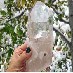 phenomenalgems:  ❄️ Today, a beautiful fall day in Colorado. XL Clear Quartz crystal, available on PhenomenalGems.Etsy.com! ❄️ #fall #autumn #changingleaves #colorfulcolorado #boulder #colorado #pearlstreet #seasons #snowday #snow #clearquartz