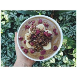 {cacao green smoothie made from bananas, juice pulp, cacao powder and water topped with banana, raw chia date granola and freeze dried pomegranate} 🌸👌