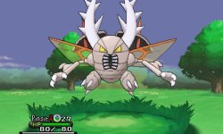 support-or-feed:  kalos-pkmnacademy:  New Mega Evolution’s found by Serebii Mega Pinsir is Bug/Flying-type. It has the ability Aerilate which turns Normal-type moves into Flying-type Mega Heracross, Y exclusive, is Bug/Fighting-type. It has the ability