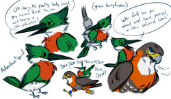 unbadger:  CORE BURDS. at long last. guest-starring orange-breasted falcon!Chell in various stages of pissed. :&gt; part of the Burdal series! [quick links to just the art here here and here] 