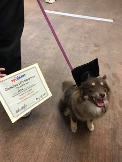 nerdy-knitter:Lena graduated today!! oh btw, Lena is named after Tracer from Overwatch