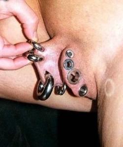 pussymodsgalore  Stretched outer labia with eight large piercings, on one side with 4 flesh tunnels, and on the other side 4 large rings. 