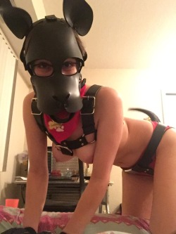 puplaika:  I can’t wait to wear this outfit to an event! Walking on a leash next to my Owner sounds heavenly right now. 
