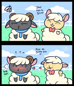 spiceleaf:  How Sheep Flirt