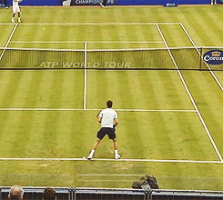 oliviergiroudd:  Dimitrov takes a tennis ball to the crotch v Hewitt (12/6/2013) 