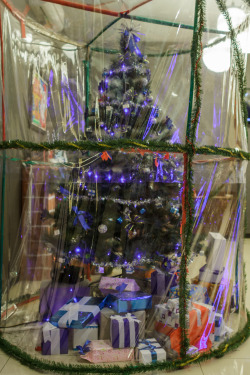 Caged Christmas tree