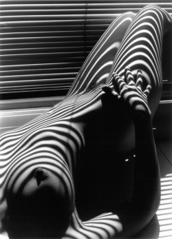 Lucien Clerge - Zebra Nude (1997-2012) 
