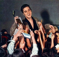 burning-love-for-elvis-presley:  Elvis surrounded by fans 