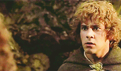 martysquirrel:         lotr meme: FAV MERRY &amp; PIPPIN MOMENTS [1/15]→You’re taller.        