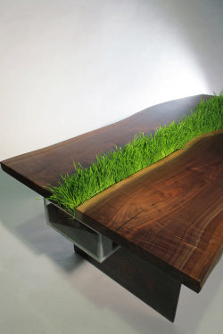 cjwho:  Planter Table by Emily Wettstein [artists on tumblr]  Emily Wettstein is a 25-year-old designer living in Brooklyn, NY who built this planter table as part of her application to grad school for architecture. The table is made from reclaimed walnut