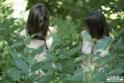 Nettle season is the perfect time to hunt naked girls through my grounds. Their hands are bound behind them so they can’t fend off the stings. What sport. For every hour they evade capture, their whipping is reduced. That’s the choice: nettles now,