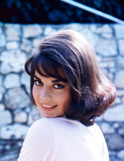 gregorypeck:  Natalie Wood photographed by Peter Basch, 1964 