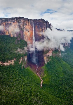 Cascading through clouds (Angel Falls on Auyantepui Mountain in Venezuela is the world’s highest uninterrupted waterfall, with a plunge of 807 metres)