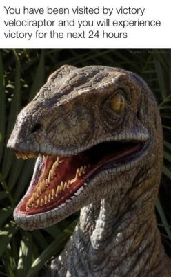 thatpettyblackgirl: jordisstigander:  hoursgoneby:  champagnemanagement: i need some victory today!!!!!!!!!!!!!!!!!!!!!!!!!!!!! Some days you just need a velociraptor on your side. “It might be nice, it might be nice, To have a velociraptor on your