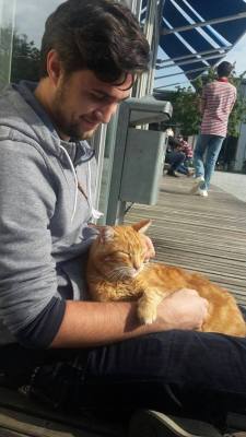catsbeaversandducks:  Cat Comes to University Every Day So She Can Rescue Students with Cuddles For years, the University of Augsburg in Bavaria, southern Germany, has played host to a very special visitor: a little ginger cat whose only mission is to