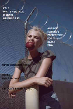 betty-got-blacked:  Open the borders of your white heritage &amp; let the black one in