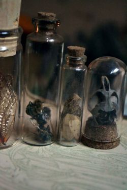 wolftea:  My own homemade curio vials and domes.  