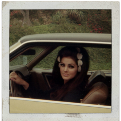 sophialorens:  Priscilla Presley, c. 1960s 