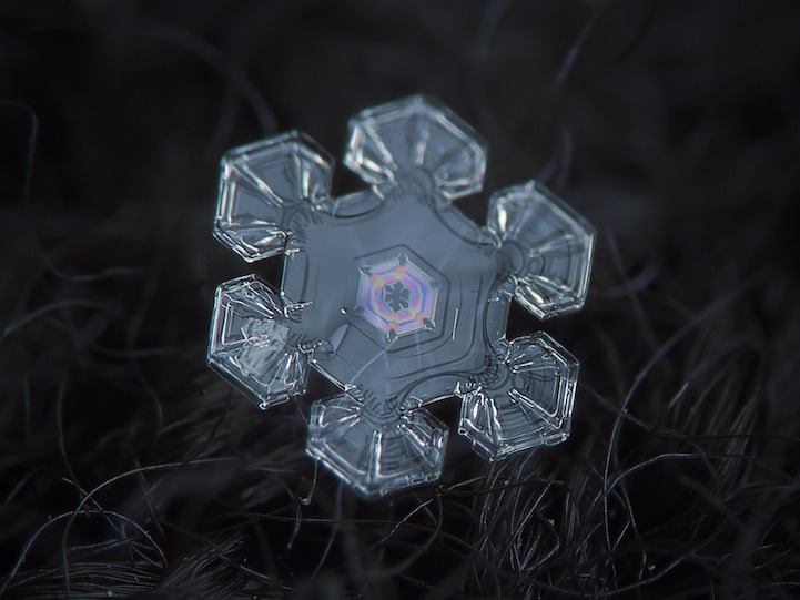 fotos impressionantes de cristais de gelo - ainanas.com